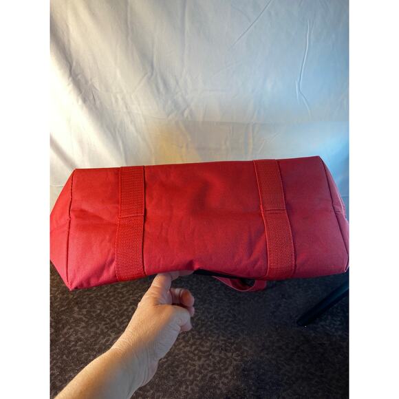 Trader Joe's insulated cooler bag - Picture 4 of 6